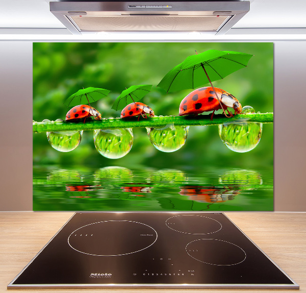 Crédence en verre trempé Coccinelles parapluies