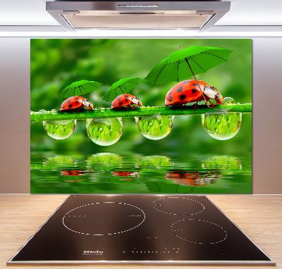 Crédence en verre trempé Coccinelles parapluies