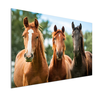 Crédence en verre avec motif Trois chevaux