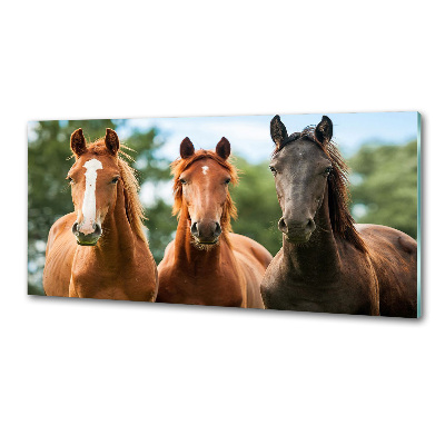 Crédence en verre avec motif Trois chevaux