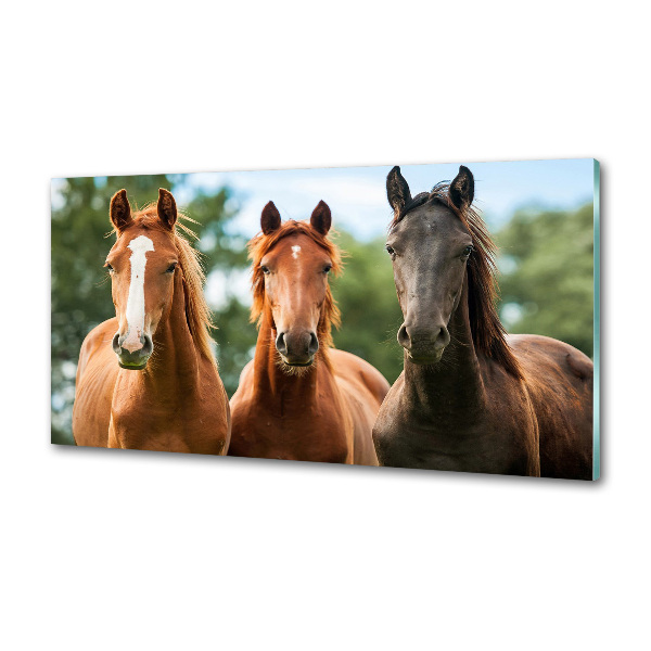 Crédence en verre avec motif Trois chevaux