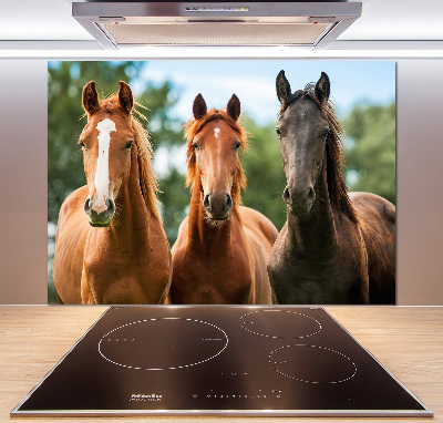 Crédence en verre avec motif Trois chevaux