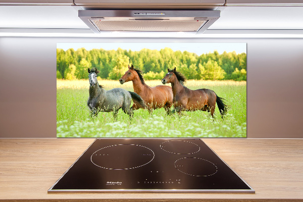 Crédence en verre Chevaux au galop