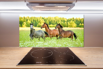 Crédence en verre Chevaux au galop
