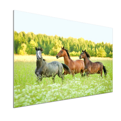 Crédence en verre Chevaux au galop