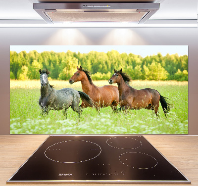 Crédence en verre Chevaux au galop