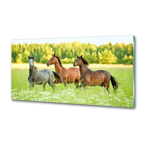 Crédence en verre Chevaux au galop