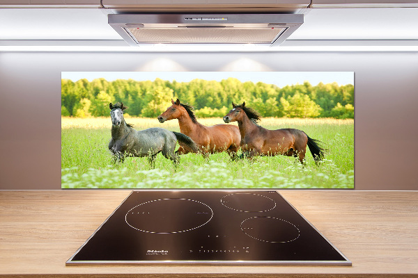 Crédence en verre Chevaux au galop