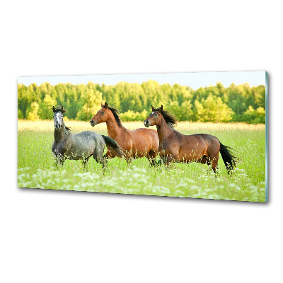 Crédence en verre Chevaux au galop