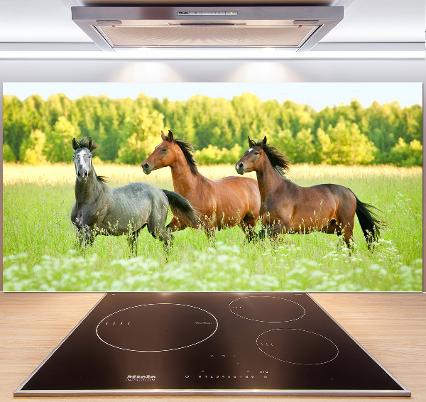 Crédence en verre Chevaux au galop