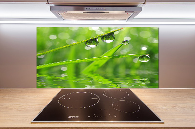 Verre pour crédence Gouttes sur l'herbe