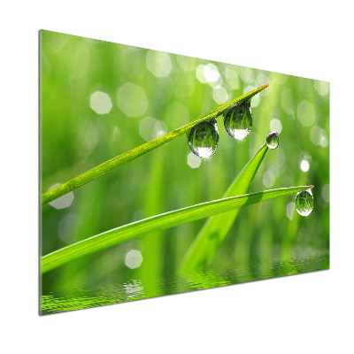 Verre pour crédence Gouttes sur l'herbe