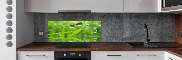 Verre pour crédence Gouttes sur l'herbe