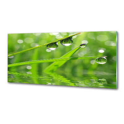 Verre pour crédence Gouttes sur l'herbe
