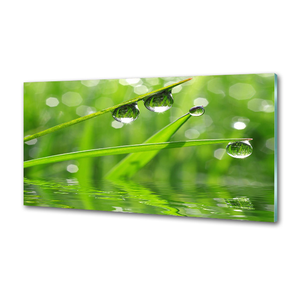 Verre pour crédence Gouttes sur l'herbe