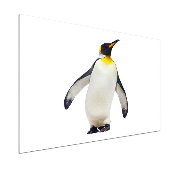 Panneau pour cuisine Pingouin