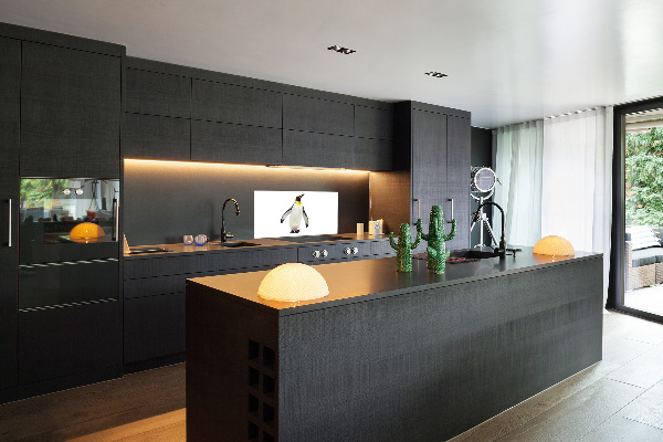 Panneau pour cuisine Pingouin