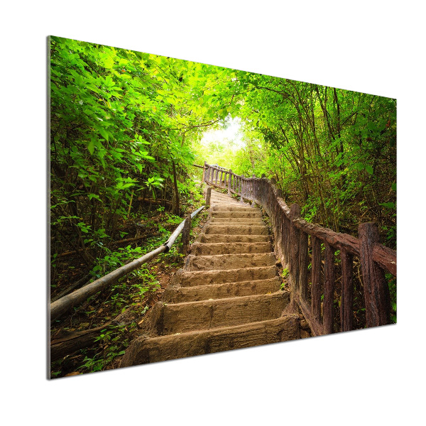 Crédence en verre cuisine Escalier dans la forêt