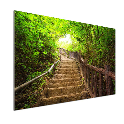 Crédence en verre cuisine Escalier dans la forêt