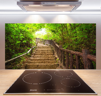 Crédence en verre cuisine Escalier dans la forêt