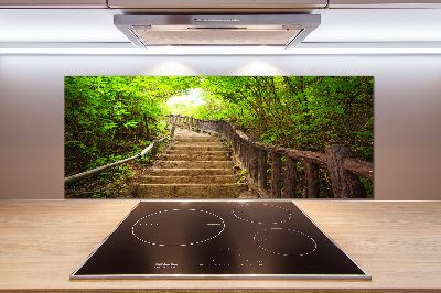 Crédence en verre cuisine Escalier dans la forêt