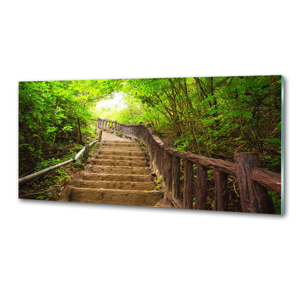 Crédence en verre cuisine Escalier dans la forêt