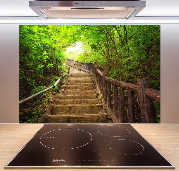 Crédence en verre cuisine Escalier dans la forêt
