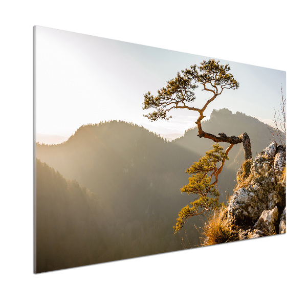 Crédence en verre trempé Sokolica Pieniny