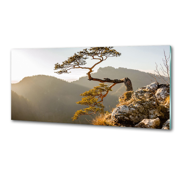 Crédence en verre trempé Sokolica Pieniny