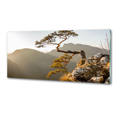 Crédence en verre trempé Sokolica Pieniny