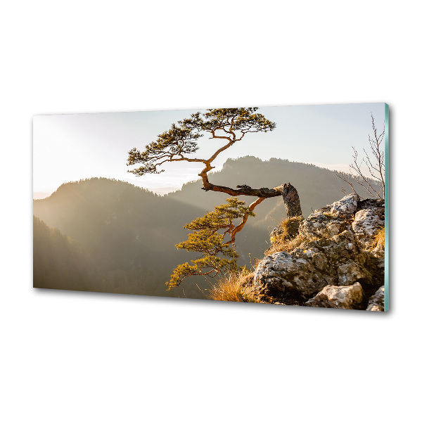 Crédence en verre trempé Sokolica Pieniny