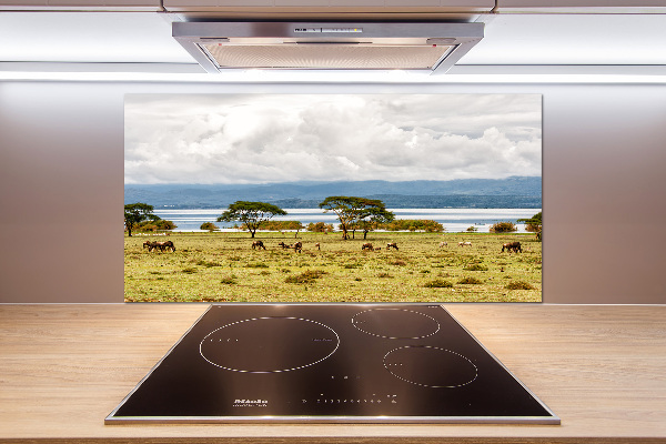 Crédence de cuisine en verre Lac Naivasha