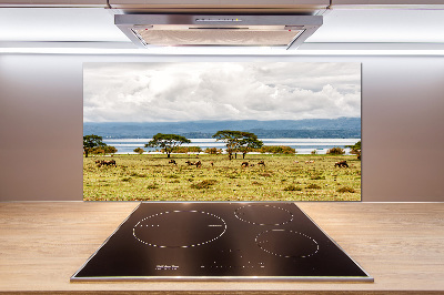 Crédence de cuisine en verre Lac Naivasha