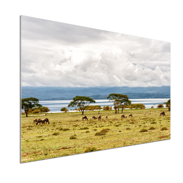 Crédence de cuisine en verre Lac Naivasha