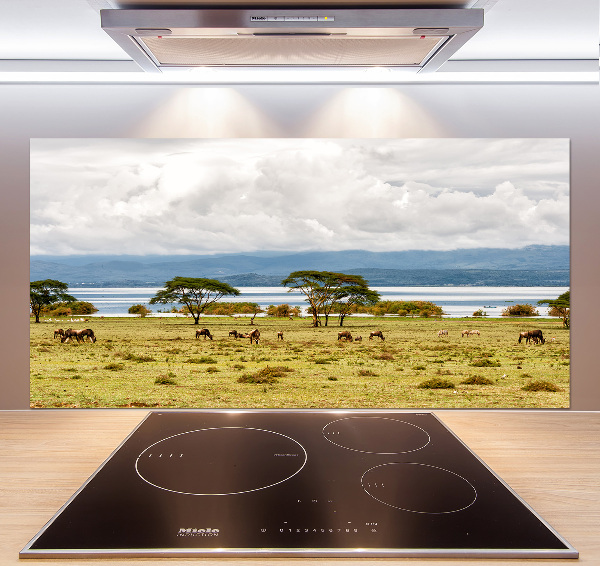 Crédence de cuisine en verre Lac Naivasha