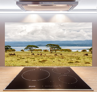 Crédence de cuisine en verre Lac Naivasha