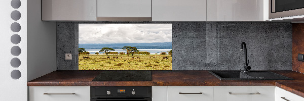 Crédence de cuisine en verre Lac Naivasha