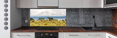 Crédence de cuisine en verre Lac Naivasha