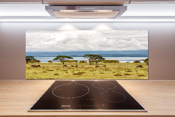 Crédence de cuisine en verre Lac Naivasha