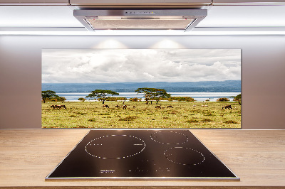 Crédence de cuisine en verre Lac Naivasha