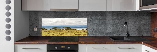 Crédence de cuisine en verre Lac Naivasha