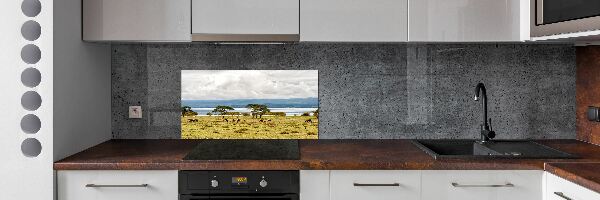 Crédence de cuisine en verre Lac Naivasha
