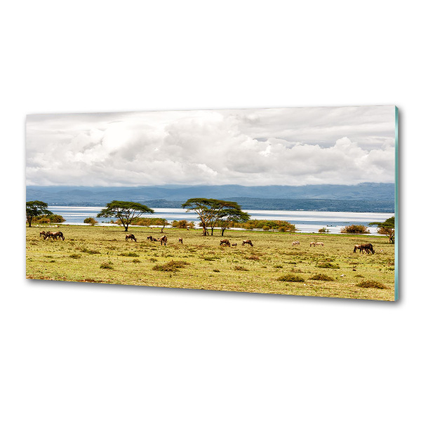 Crédence de cuisine en verre Lac Naivasha