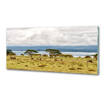 Crédence de cuisine en verre Lac Naivasha