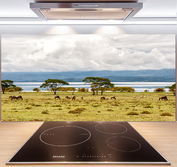 Crédence de cuisine en verre Lac Naivasha