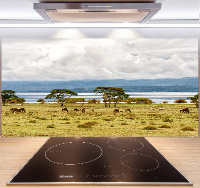 Crédence de cuisine en verre Lac Naivasha