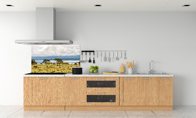 Crédence de cuisine en verre Lac Naivasha