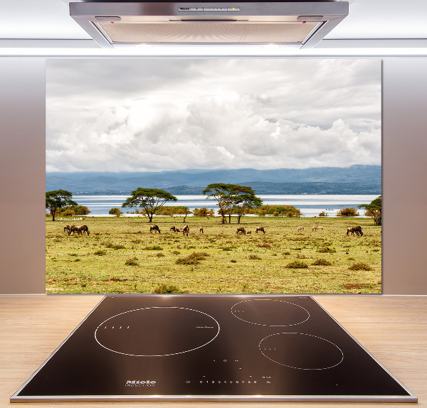 Crédence de cuisine en verre Lac Naivasha