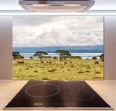 Crédence de cuisine en verre Lac Naivasha