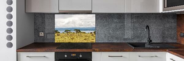 Crédence de cuisine en verre Lac Naivasha